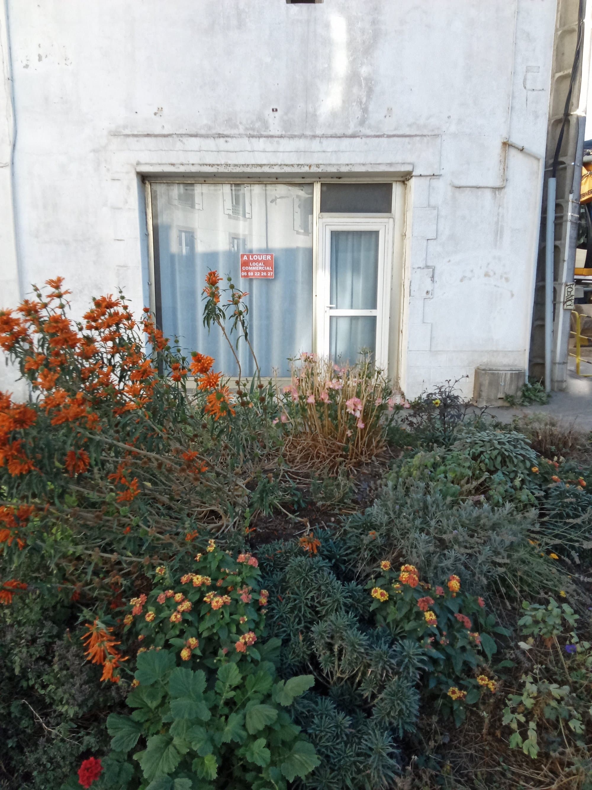 Cabinet médical - Douarnenez - 40 m²