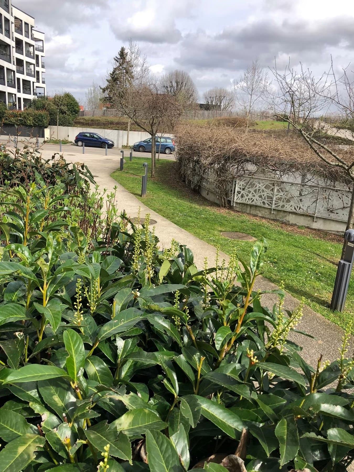 Cabinet médical - Issy-les-Moulineaux - 27 m²