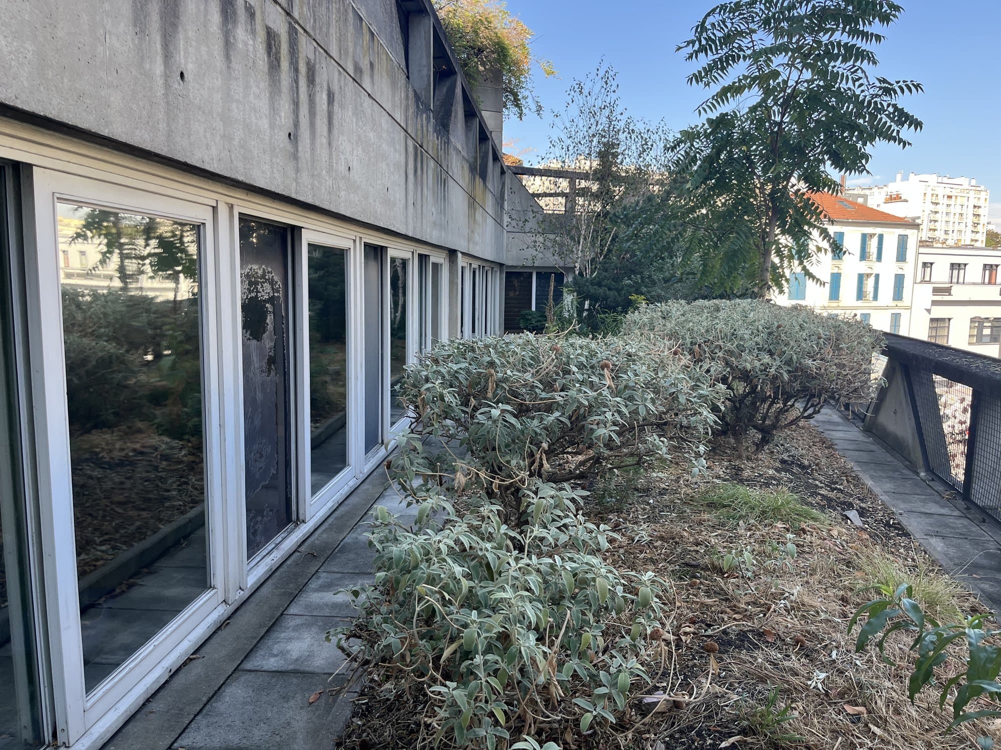 Cabinet médical - Ivry-sur-Seine - 218 m²