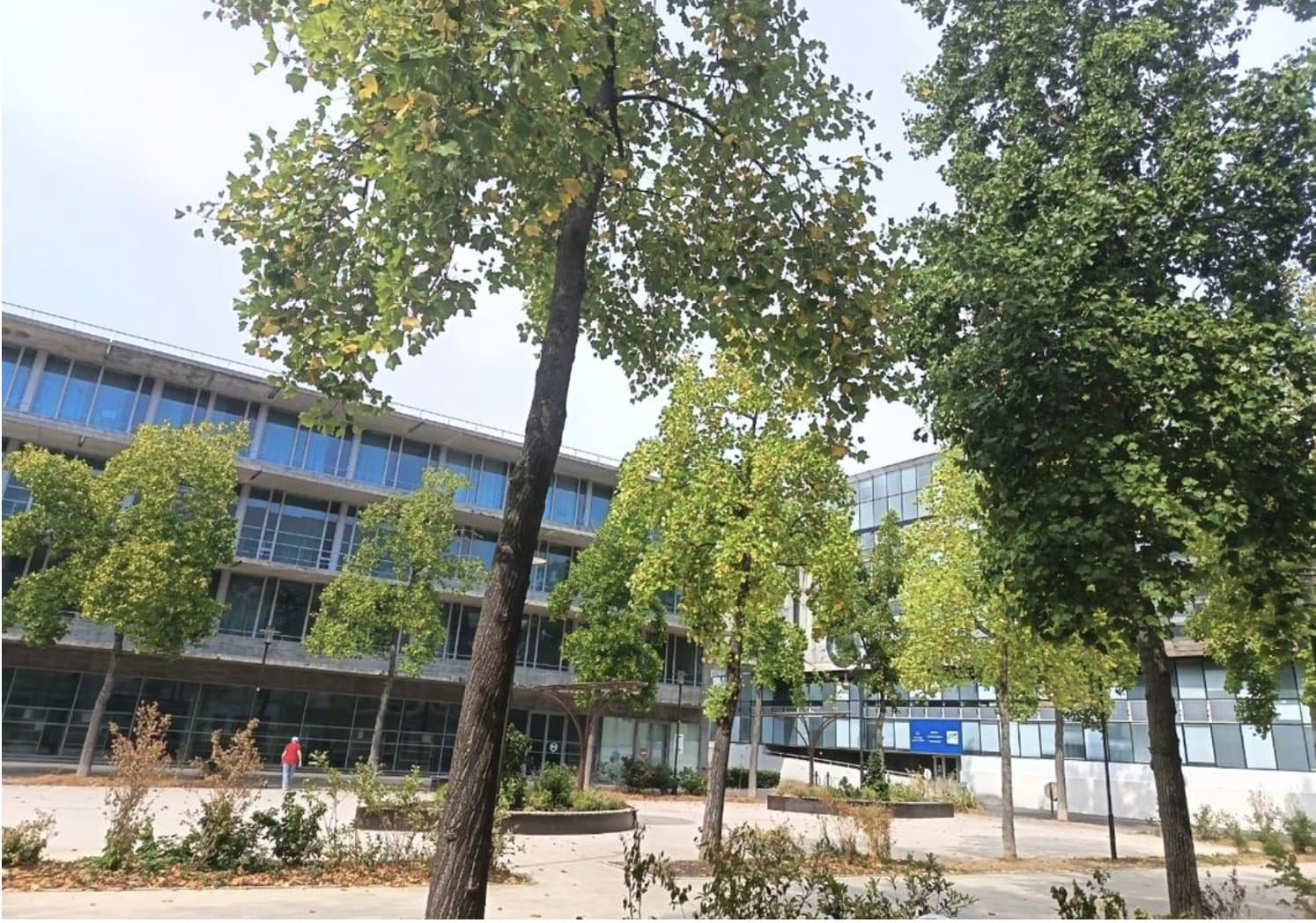 Cabinet médical - Meaux - 15 m²