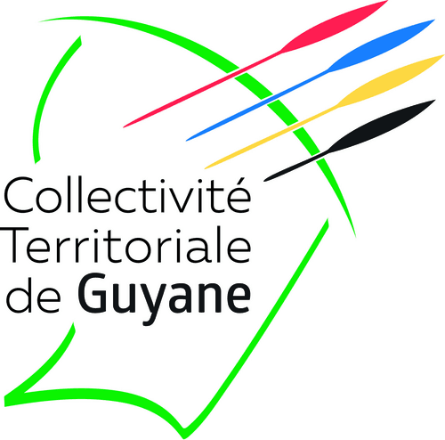 Direction Générale des Solidarités Humaines