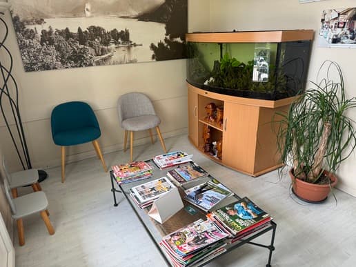 Vds cabinet dentaire annecy 74 clientele+murs