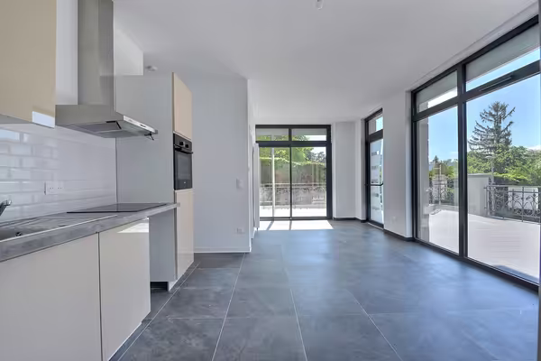 Alsace 68 - apt 5 pièces, 104 m2 avec terrasse de 90 m2. idéal activité libérale + habitation