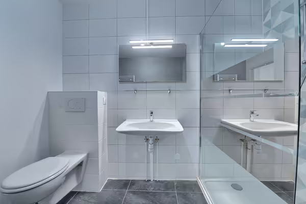 Alsace 68 - apt 5 pièces, 104 m2 avec terrasse de 90 m2. idéal activité libérale + habitation